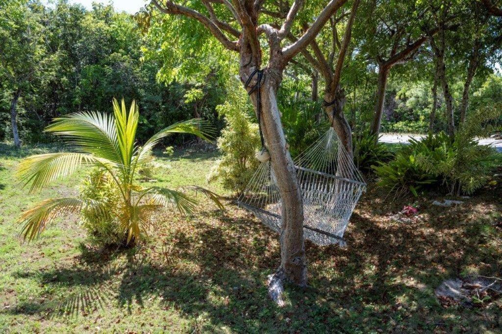 Key Lime Cottage Home Alice Town  Extérieur photo